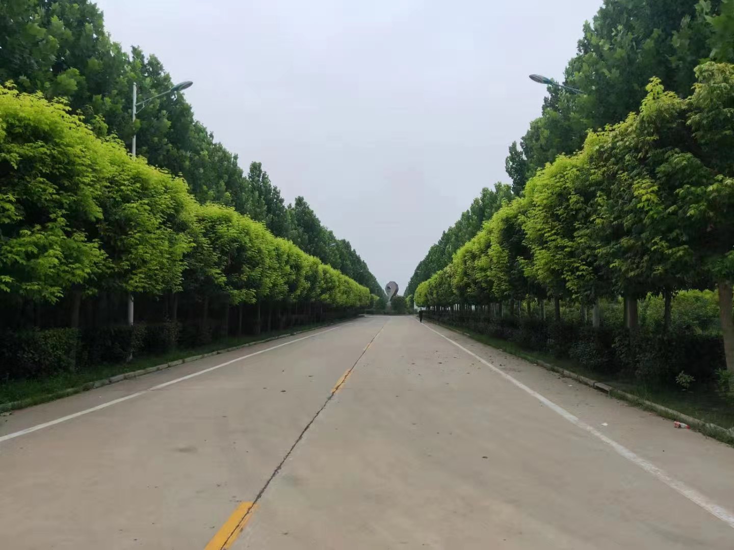 1668414236321059.jpg 10.jpg