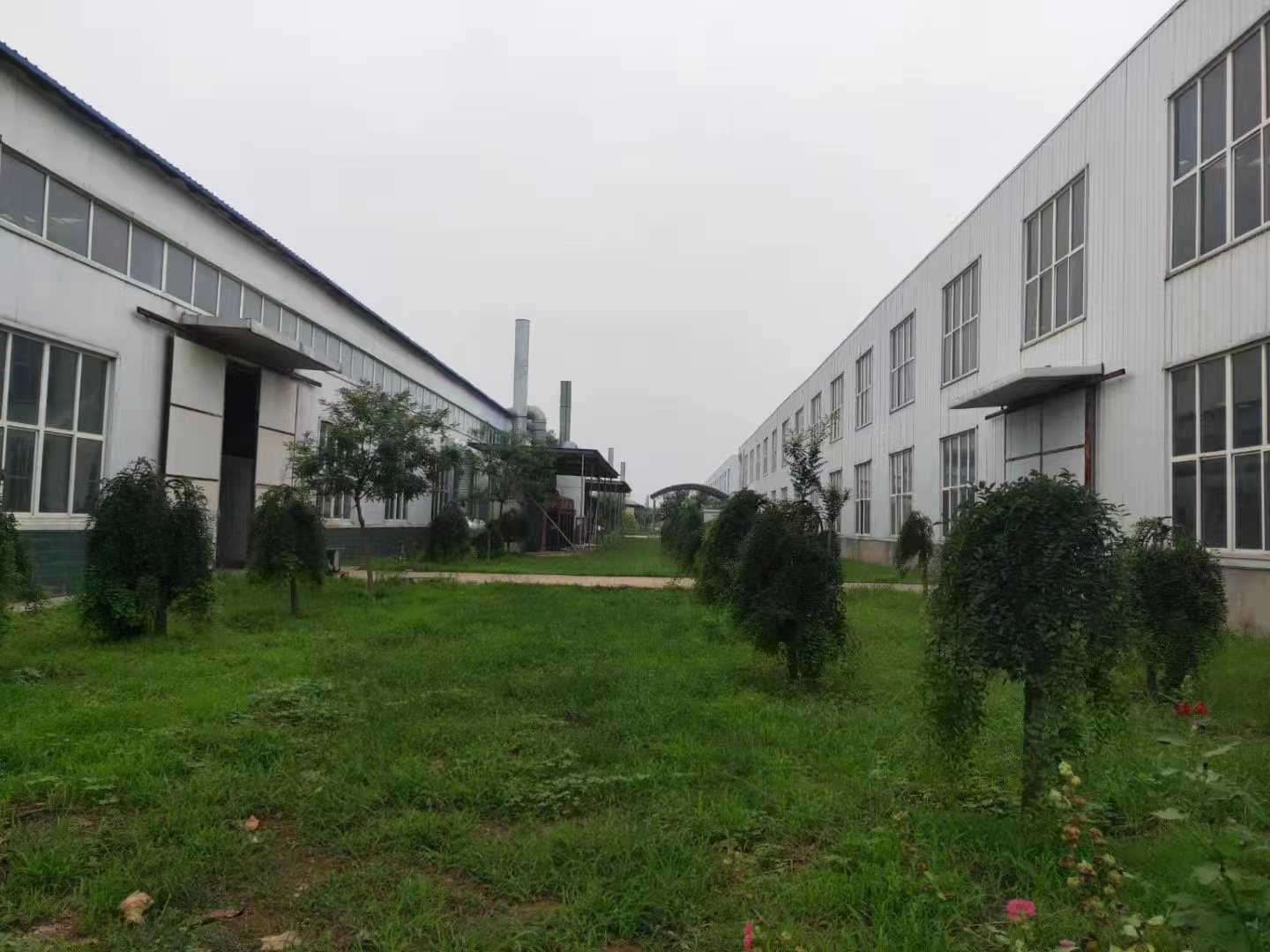 1668414241770851.jpg 11.jpg