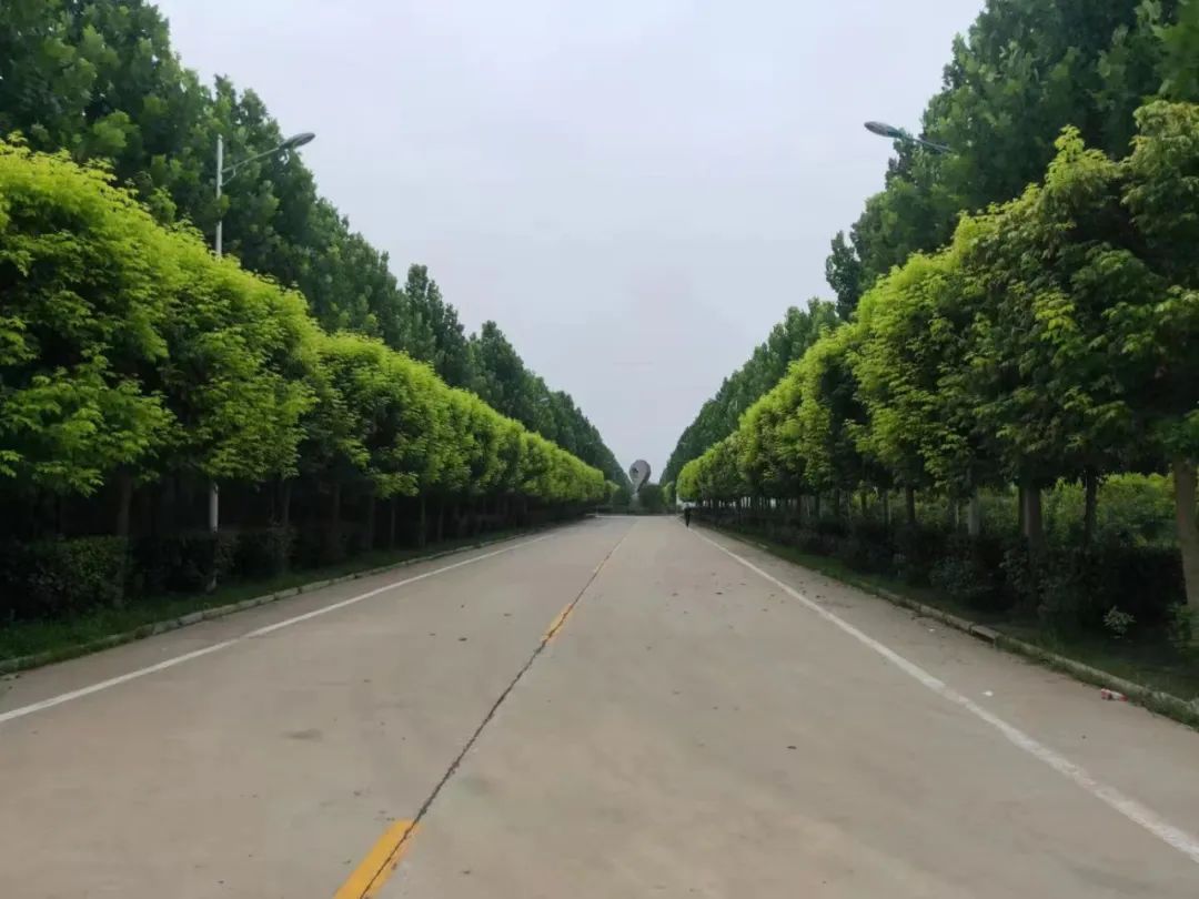 1670805175513686.jpg 4.jpg